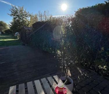 Seclin Casa | Grande Maison et Jardin Métropole