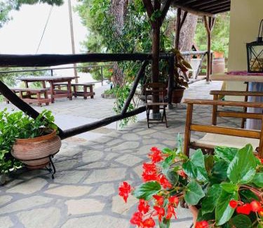 Psakoudia Casa | Grandmas Paradise Villa