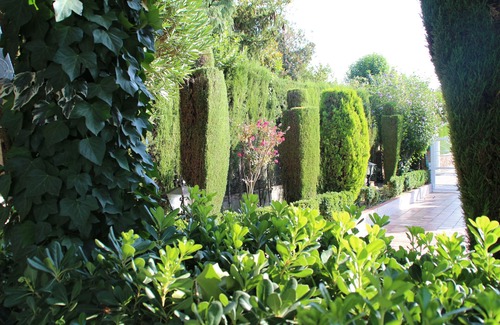 Barrio de la Vega Casa | El Jardín de la Abuela