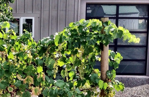 Carlton Casa | Grant Street - A Carlton Wine Country Home