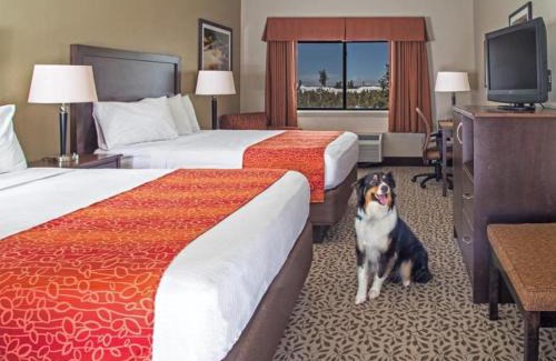 West Yellowstone Hotel | Gray Wolf Inn & Suites