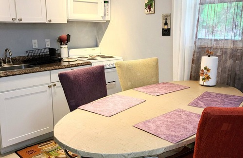 Warm Mineral Springs Casa | GRAN 1 BDRM A TRAVÉS DE LA PRIMAVERA MINERAL CÁLIDA