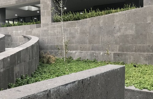 Coyoacan Apartamento | Great appartment with amazing sunsets views in Coyoacan Area!
