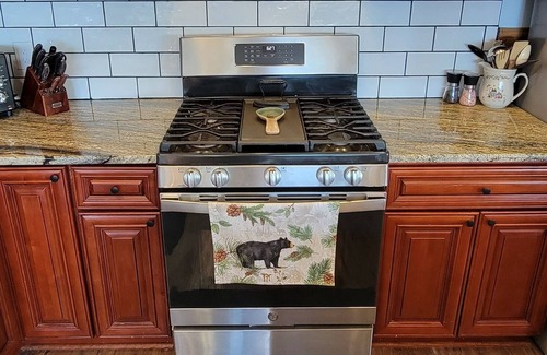 Hayesville Cabina | Great Mountain Views! Hiking, Rafting, Horseback Riding, Golf, Boating & more!!
