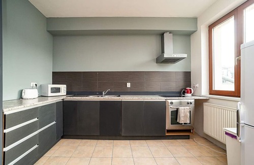 Zizkov Apartamento | Great Terrace in Big, Central Flat