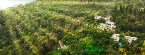 Yercaud Complejo | GReaT Trails Yercaud by GRT Hotels