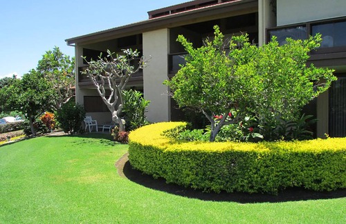 Waikoloa Condominio | Las mejores vacaciones Valor Hawaii Condo! - Ofertas de temporada