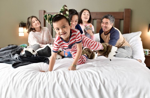Anaheim Resort Complejo | Great Wolf Lodge Anaheim, CA