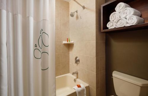 Scotrun Cabina | Great Wolf Lodge Poconos