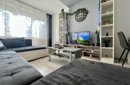 Debrecen Apartamento | GreatForestSportAndSpaUniversityFlat