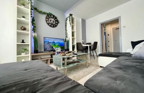 Debrecen Apartamento | GreatForestSportAndSpaUniversityFlat