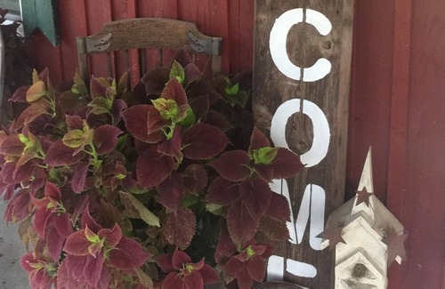 McMinnville Casa | Green Acres Farm ubicado justo fuera de McMinnville, TN.