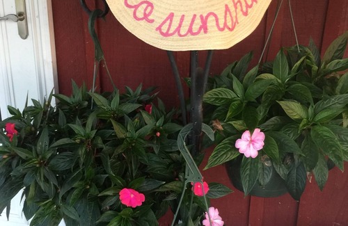 McMinnville Casa | Green Acres Farm ubicado justo fuera de McMinnville, TN.