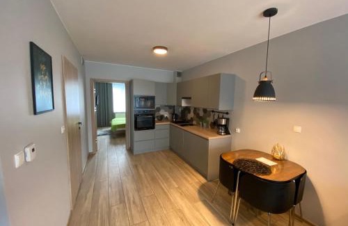 Meszna Apartamento | Green Apart Mountain Szczyrk Bratków 10E