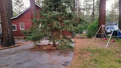 Peter Pan Casa | Green Cabin in Big Bear Lake 3 bdr Pets Friendly