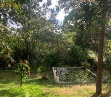 Coatepeque Hotel | Green Canyon