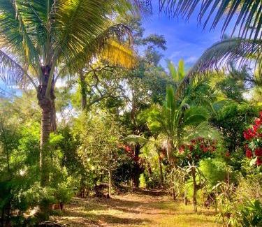 Coatepeque Hotel | Green Canyon