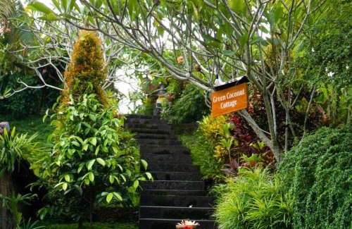 Mas Casa | Green Coconut Cottage
