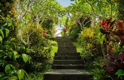 Mas Casa | Green Coconut Cottage