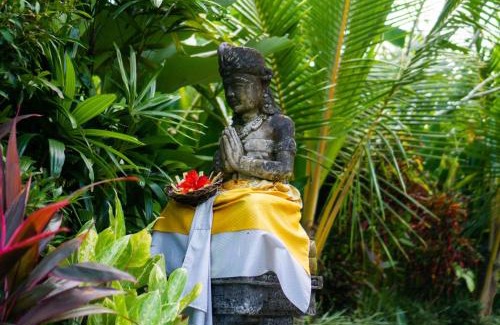 Mas Casa | Green Coconut Cottage