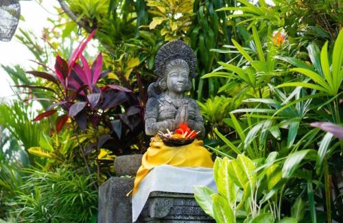 Mas Casa | Green Coconut Cottage
