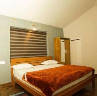 Ooty Cabina | Green County Resort