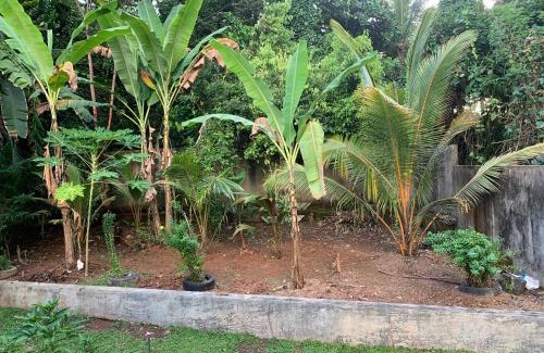 Patuwatha Apartamento | Green heaven Hikkaduwa
