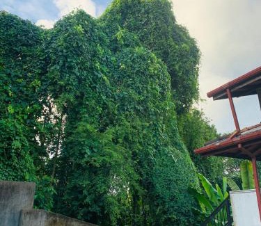 Patuwatha Apartamento | Green heaven Hikkaduwa