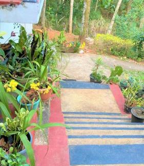 Kandy Casa | Green Heaven