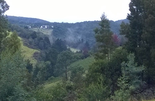 Bitou Apartamento | Green Hills Forest Lodge, The Crags, Plettenberg Bay, Sudáfrica - UNIDAD 1