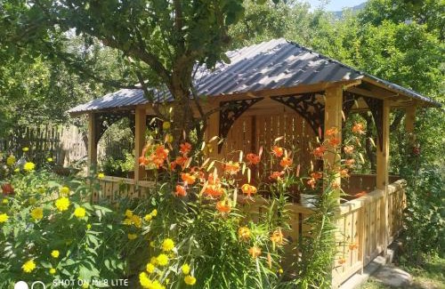 Bagvdanari Casa | Green House Becho