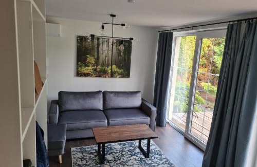 Anyksciai Apartamento | GREEN HOUSE