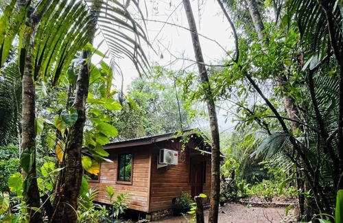 San Ignacio Cabina | Green Jay Cabin 1
