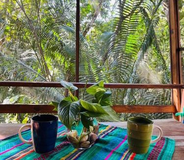 San Ignacio Casa | Green Jay Cabins