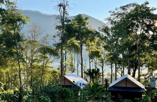 Candikuning Cabina | Green Lava Glamping Bedugul
