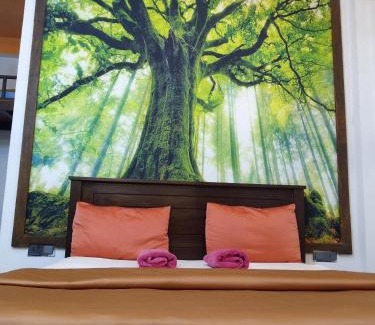 Ella Complejo | Green Leaf Resort