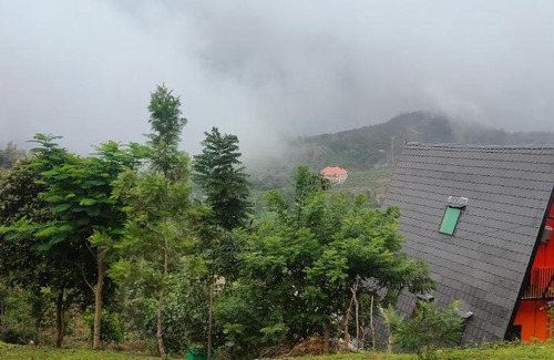 Peermade Apartamento | GREEN LUSH
