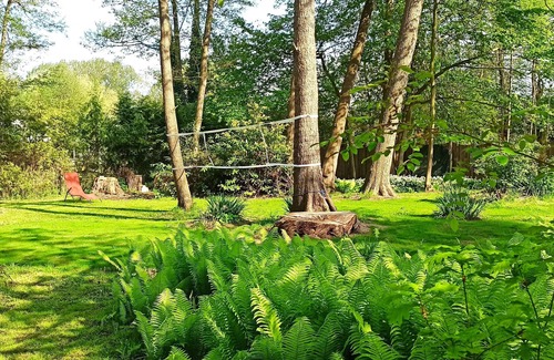 Schonberg Casa | Green oasis