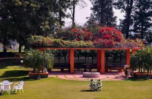 Gurugram Casa | Green Orchid Farms I Swimming Pool I Wedding I party