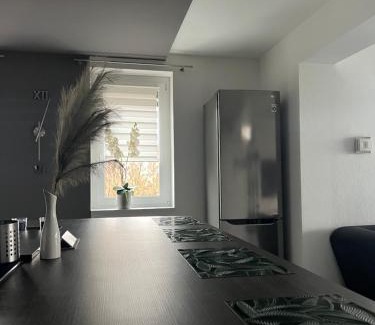 Tiszaujvaros Apartamento | Green Penthouse