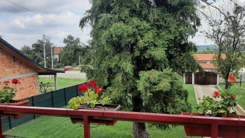 Mladenovac Casa | Green sanctuary 30 min from downtown Belgrade