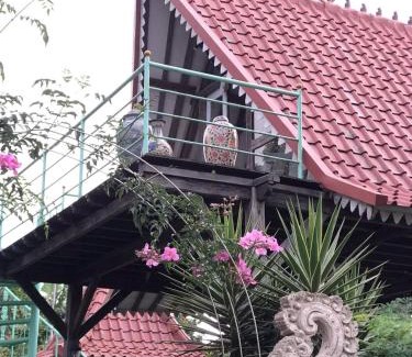 Wanagiri Cabina | green slope villa glamping