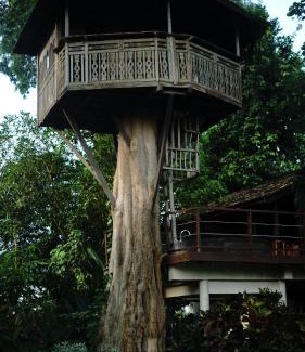 Pengosekan Complejo | Green Tree House Villa Ubud