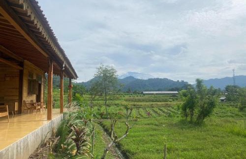 Sidemen Casa | Green vanilla kabin