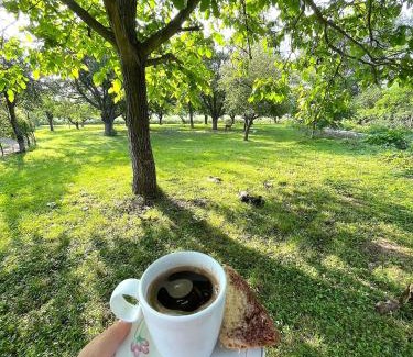 Nisava District Apartamento | Green Village Life