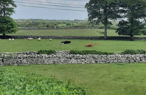 Inishmacatreer Cabaña | Greenacres Mews A charming,quaint Cottage