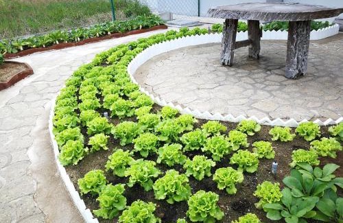 Kuantan Casa | Greenery Garden Concept Homestay