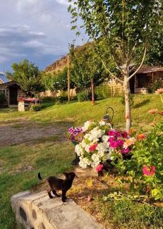 Vayots Dzor Province Apartamento | GreenField Resort