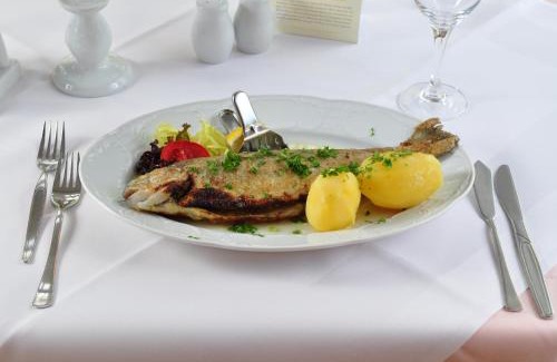 Treseburg Hotel | GreenLine Ferienhotel Forelle