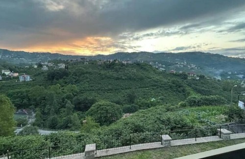 Trabzon Villa | Greenplain Smurf